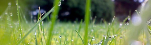 Дождливая погода придет в Приморье в четверг