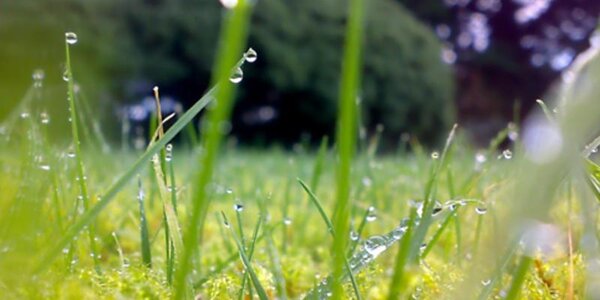 Дождливая погода придет в Приморье в четверг