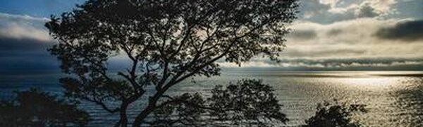 Неустойчивая погода ожидается в Приморье в последние дни лета