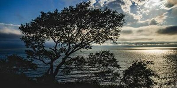 Неустойчивая погода ожидается в Приморье в последние дни лета