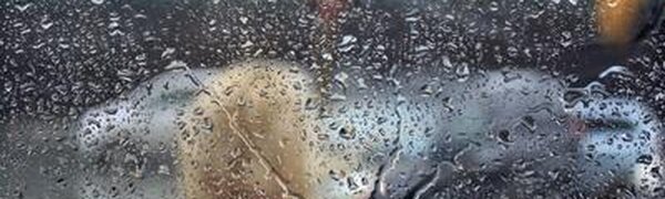 Дожди различной интенсивности прошли в Приморье в понедельник