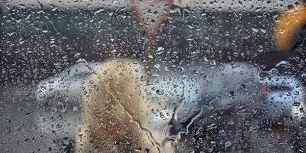 Дожди различной интенсивности прошли в Приморье в понедельник