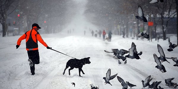 Снегопад в США признан сильнейшим за последние 100 лет