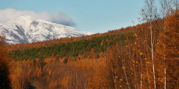 Холодные выходные ждут жителей Приморья