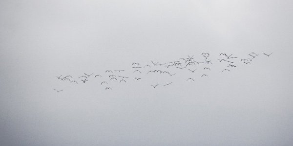 Счет июльских дождей в Приморье пополнит очередной циклон