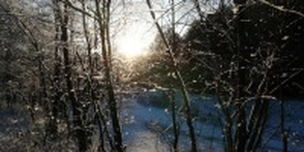 Вчера днем в Приморье потеплело