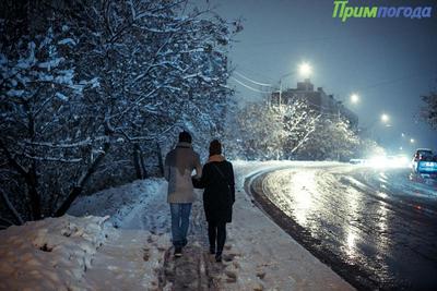 Сегодня ночью на большей территории Приморья дождь перейдёт в снег, на дорогах гололедица