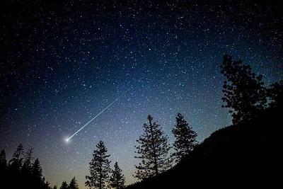 В ночь на 18 ноября можно будет увидеть звездопад Леониды