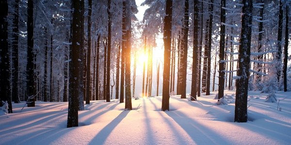 Контрасты температуры в Приморье в выходные дни достигли 24 °C