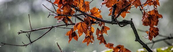 Похолодание и дожди. Синоптики рассказали о погоде на первых выходных октября