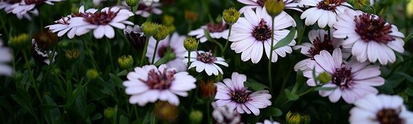 Июнь попрощался с Приморьем небольшими дождями