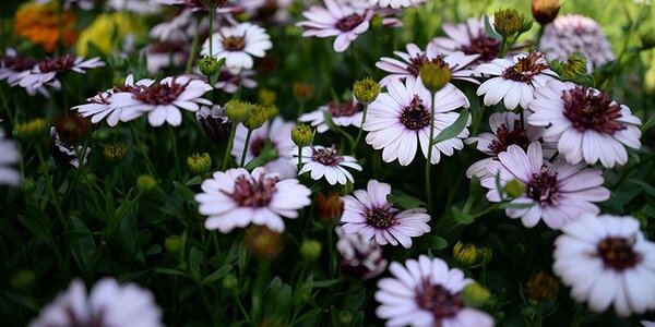 Июнь попрощался с Приморьем небольшими дождями