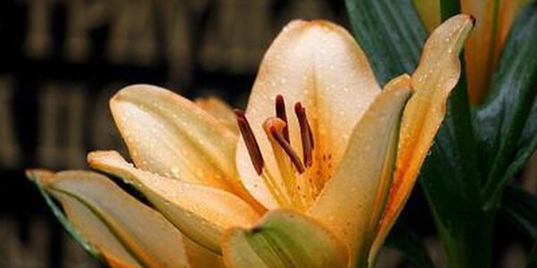 Циклон испортил погоду в Приморье