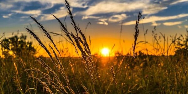 Жаркая погода придет в Приморье в начале следующей недели