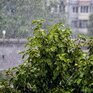 Самые сильные дожди пройдут в южных и восточных районах Приморья во вторник