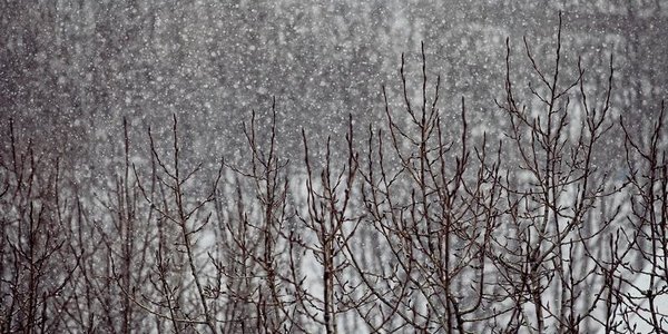 Завтра днём в Приморье начнётся снег