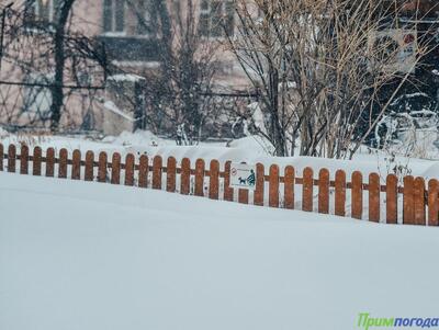 Высота снежного покрова в Приморье достигла 45 см