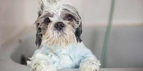 Гидравлические испытания оставят Владивосток без горячей воды