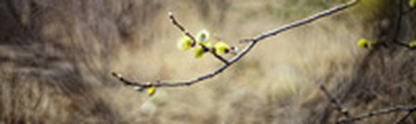 Комфортная для отдыха погода ждет Приморье в выходные