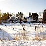 Самая теплая за 150 лет зима в Норвегии