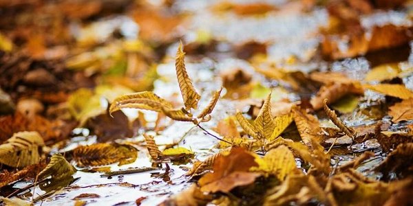 Что нужно знать при наступлении заморозков (ПАМЯТКА)