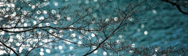 Какой будет погода в Приморье на майские праздники?