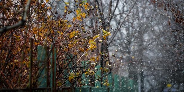 Сегодня в Приморье пройдут дожди, местами со снегом