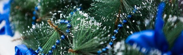 Синоптики расказали о погоде в новогоднюю ночь в Приморье и во Владивостоке