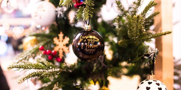 Погода в последнюю неделю года в Приморье будет спокойной