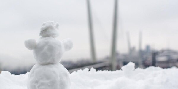 Положительные аномалии температуры в Приморье достигают 10 — 14 градусов