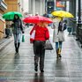В пятницу в южной половине Приморья будет дождливо