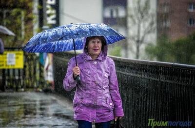 Дождливый понедельник ожидается в Приморье. Точный прогноз на следующую неделю на Примпогоде