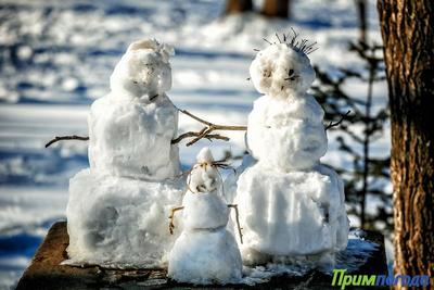 Оттепель и небольшой снег: какой будет погода в Приморье в последние дни января