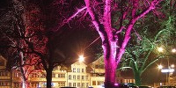  Нанотехнологии могут превратить деревья в уличные фонари