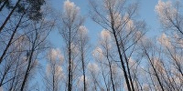 В Приморье вернулось тепло