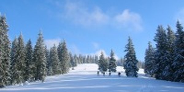 Какая погода ожидает приморцев в выходные?