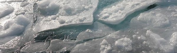 У побережья Приморья ожидается расхождение трещин и подвижка льда