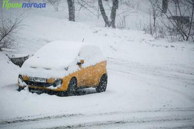 Основное ухудшение погоды в Приморье ожидается 1 декабря
