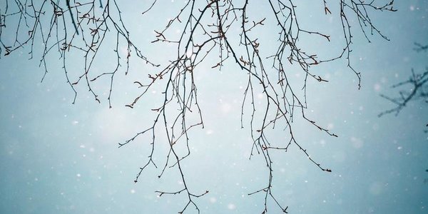 Какой будет зима 2016-2017 в Приморье?