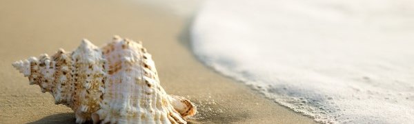 Мировой океан прогрелся до рекордного уровня