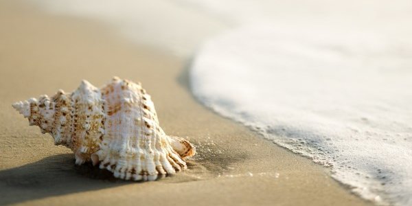 Мировой океан прогрелся до рекордного уровня