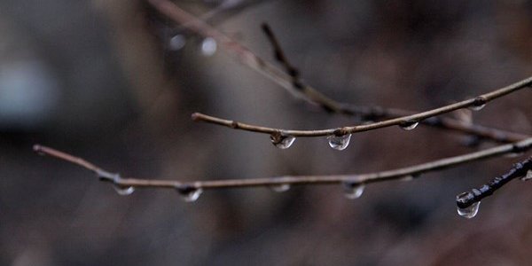 Завтра в Приморье будет тепло: до +11 °С и дождливо