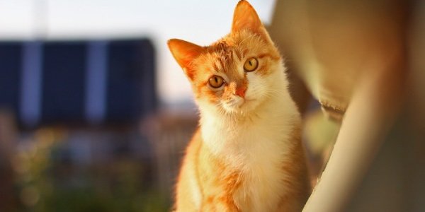 Выходные дни в Приморье отметятся незначительным похолоданием