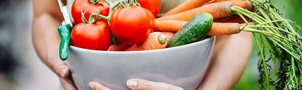 Во Владивостоке продолжается конкурс на звание лучшего садовода и огородника