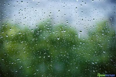 В Приморье сохранится погода с кратковременными дождями и грозами