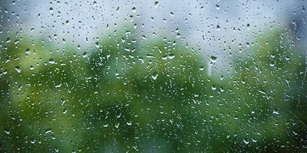 В Приморье сохранится погода с кратковременными дождями и грозами