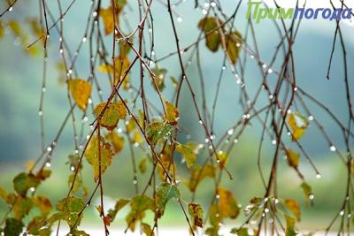 Октябрь в Приморье будет дождливым