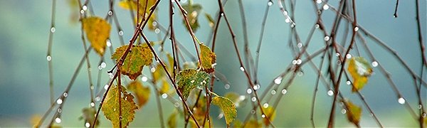 Октябрь в Приморье будет дождливым