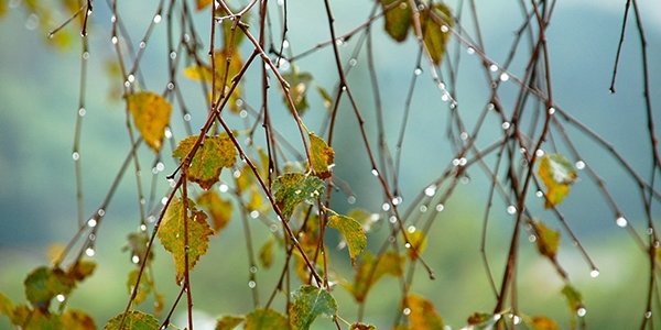 Октябрь в Приморье будет дождливым