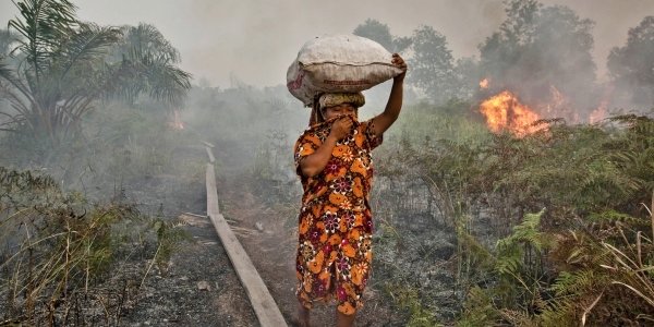 Из-за смога крупнейший перевозчик Индонезии отменил более 400 рейсов